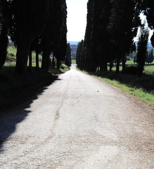 Otel Tassinaia Bed And Breakfast