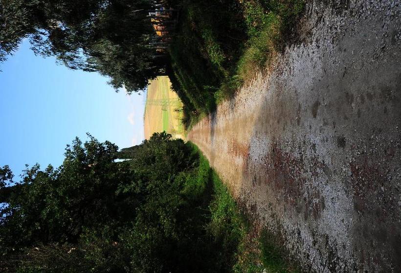 Otel Tassinaia Bed And Breakfast