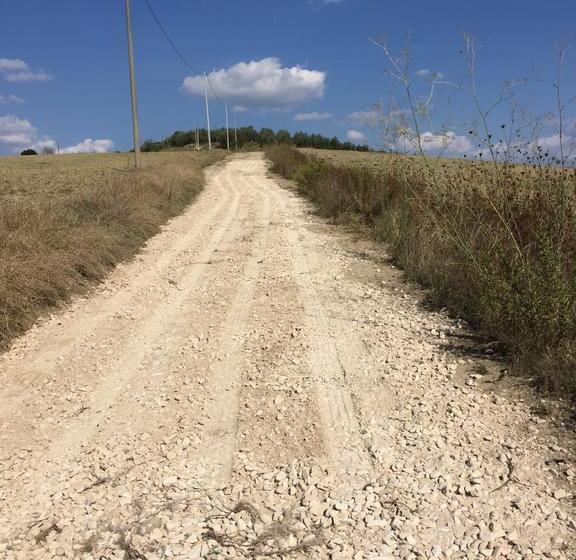 Otel Tassinaia Bed And Breakfast