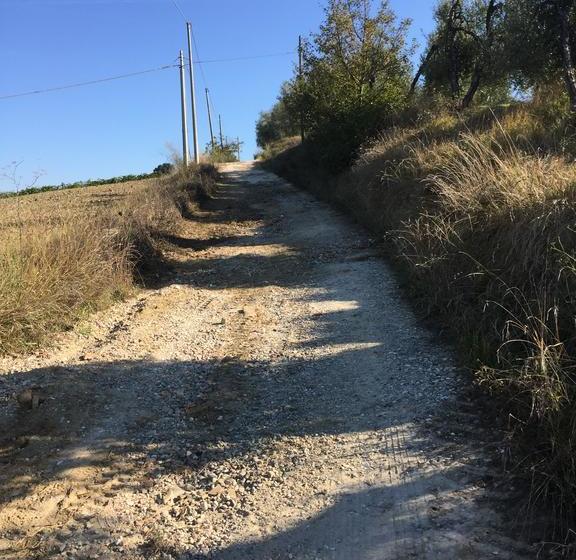 Otel Tassinaia Bed And Breakfast