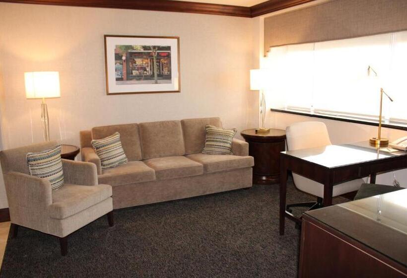 酒店 The Towers At Kahler Grand