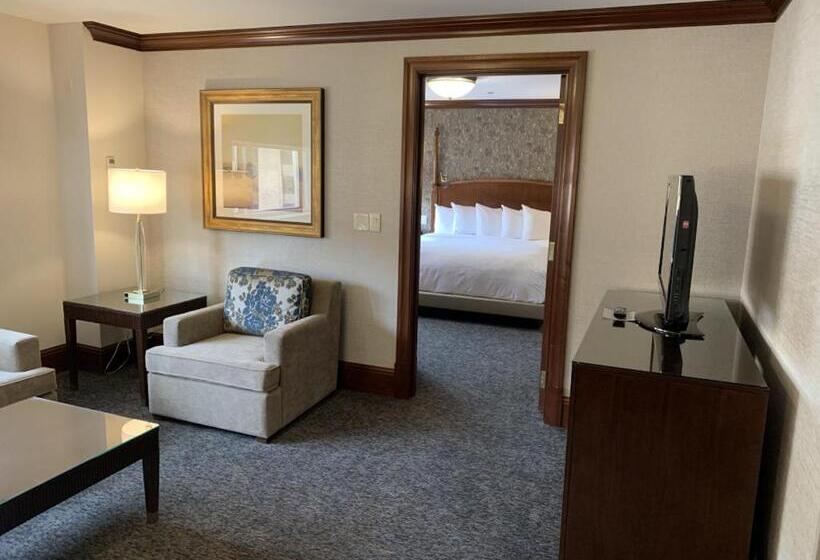 酒店 The Towers At Kahler Grand