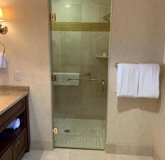 酒店 The Towers At Kahler Grand