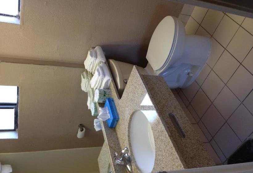 ホテル University Inn And Suites