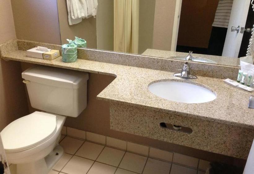 ホテル University Inn And Suites