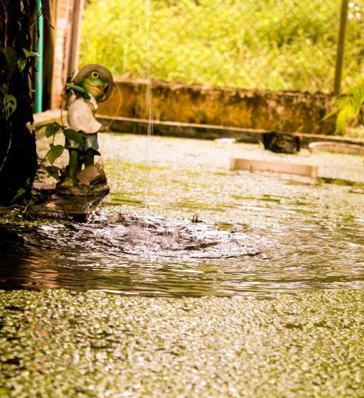 בית מלון כפרי Utuane