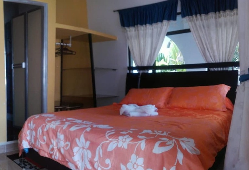 酒店 Villa Del Rosario Nuevo