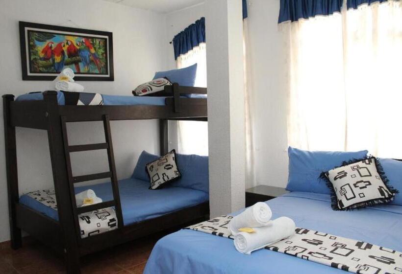 酒店 Villa Del Rosario Nuevo