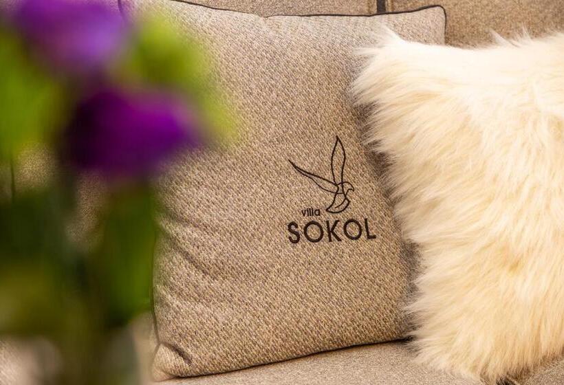 בית מלון כפרי Villa Sokol