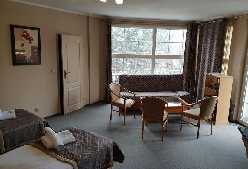 בית מלון כפרי Willa Kłodzko Zacisze   Sauna   Siłownia   Komnata Solna