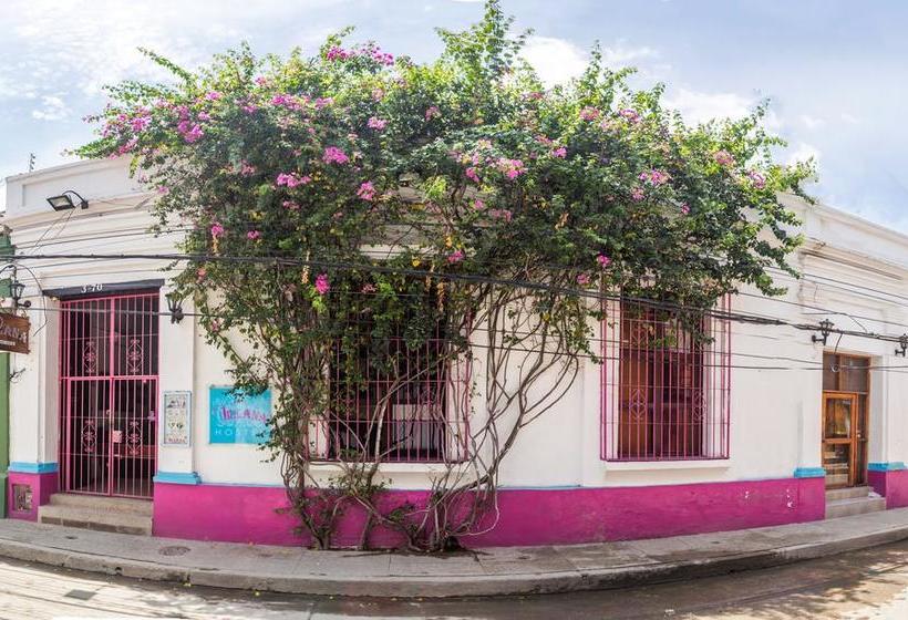 Aroha Villana Hostel