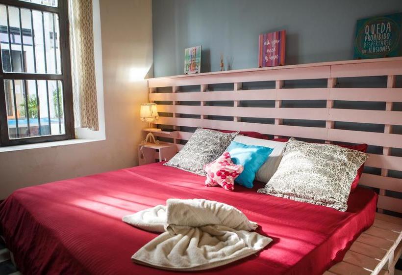 Aroha Villana Hostel