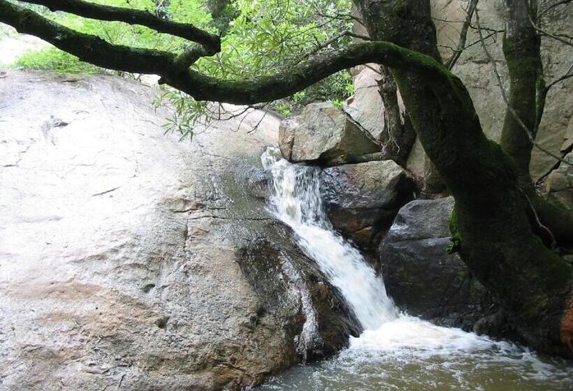 بنسيون Leaves Lodge And Spa