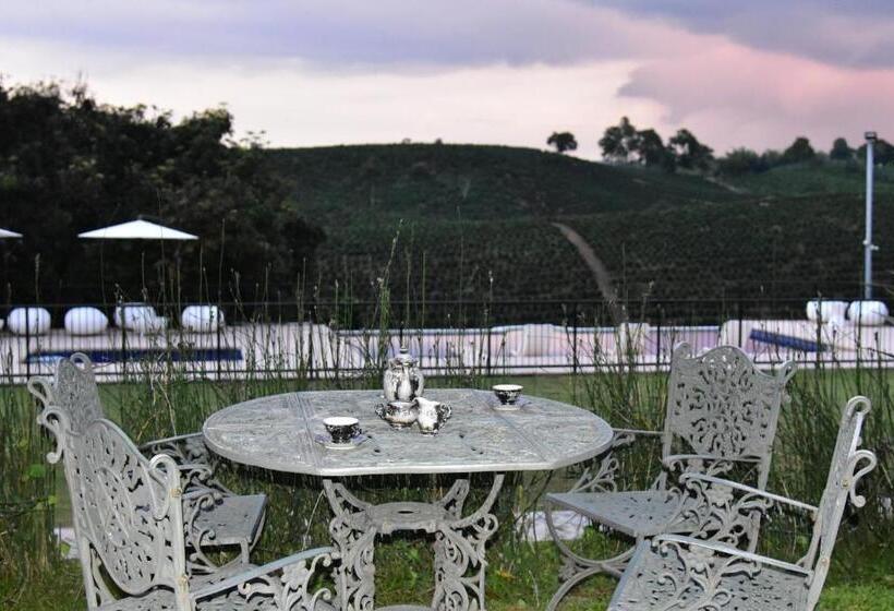 اقامتگاه Finca Hotel Los Girasoles