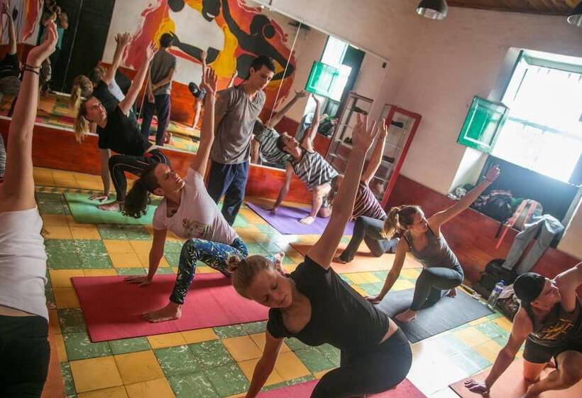 Viajero Hostel Cali & Salsa School