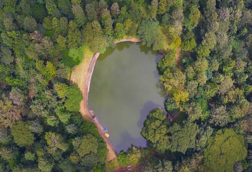 בית מלון כפרי Heaven's Ledge