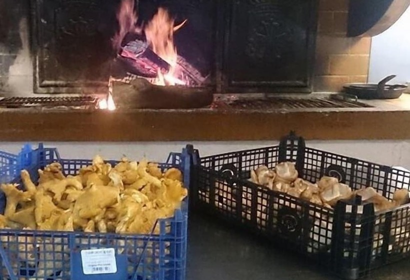 Общежитие Friendly Auberge