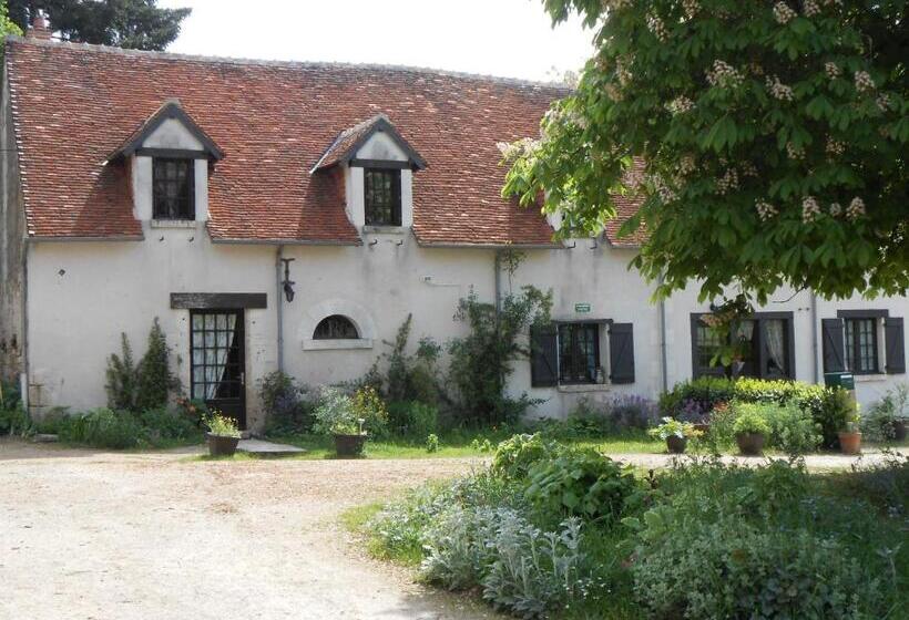 B&b La Ferme Des Bordes