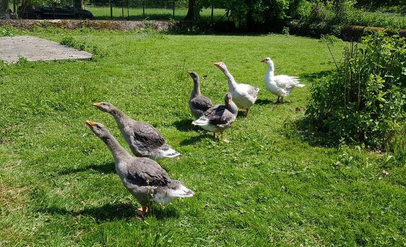 ベッドアンドブレックファースト Manoir De La Presle Ornella Et Stéphane