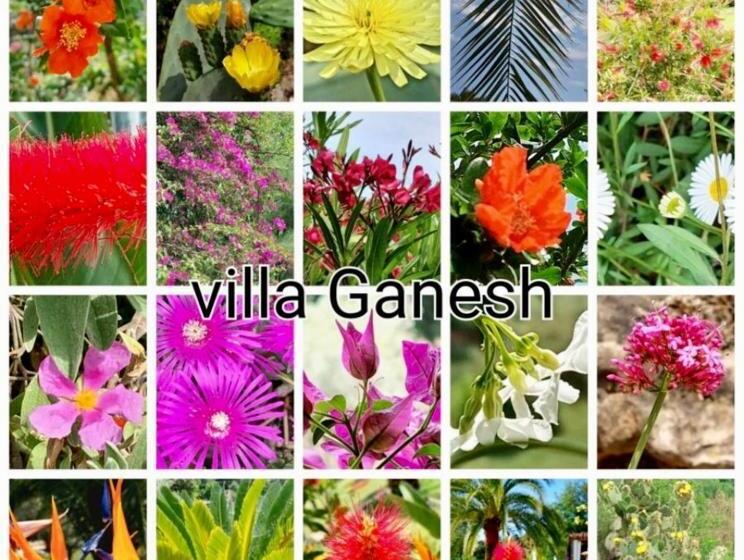 B&b Le Mas Du Galoubet