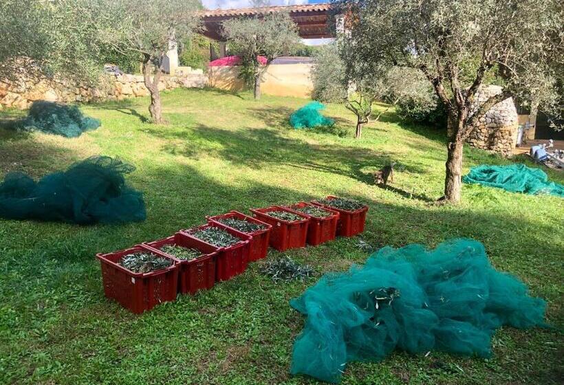 B&b Le Mas Du Galoubet