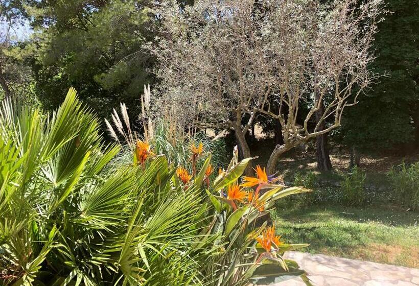 B&b Le Mas Du Galoubet