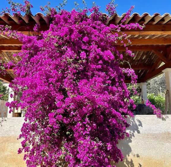 B&b Le Mas Du Galoubet