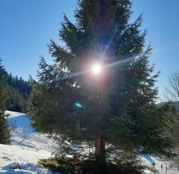 Bed and Breakfast Au Cœur Des Lacs Chambres D Hôtes