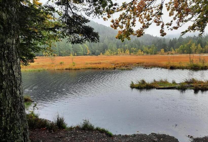 Bed and Breakfast Au Cœur Des Lacs Chambres D Hôtes
