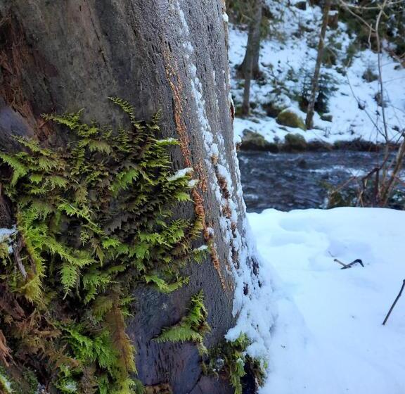 Bed and Breakfast Au Cœur Des Lacs Chambres D Hôtes