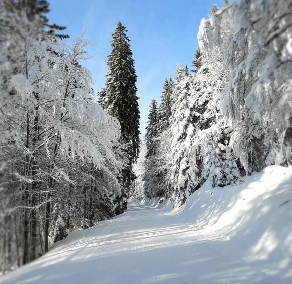 Bed and Breakfast Au Cœur Des Lacs Chambres D Hôtes