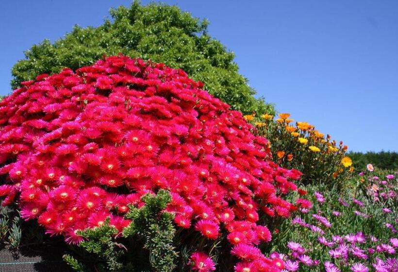 تختخواب و صبحانه Breizh A Gevret