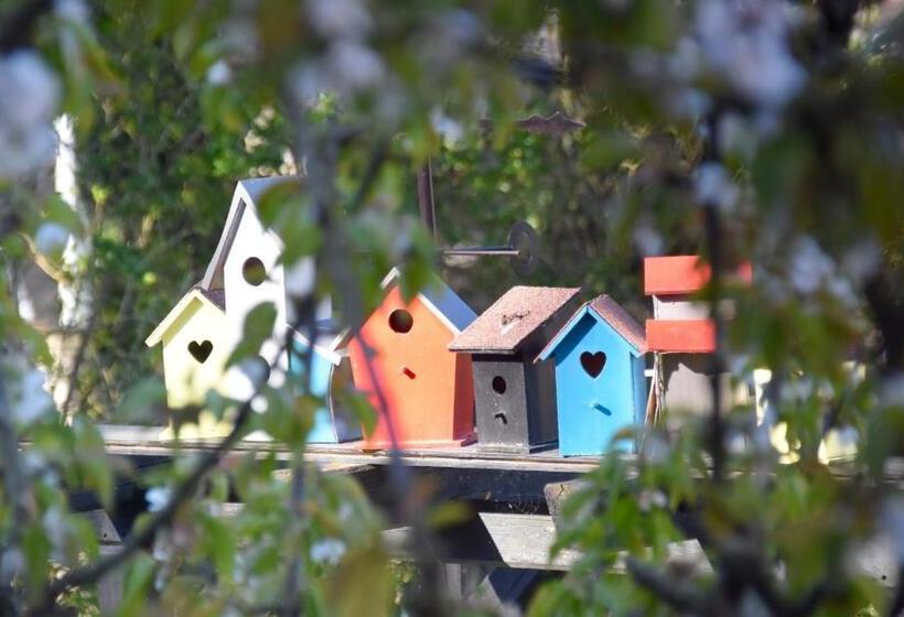ベッドアンドブレックファースト Chambre D Hôtes Le Cadran Des Chauvelles