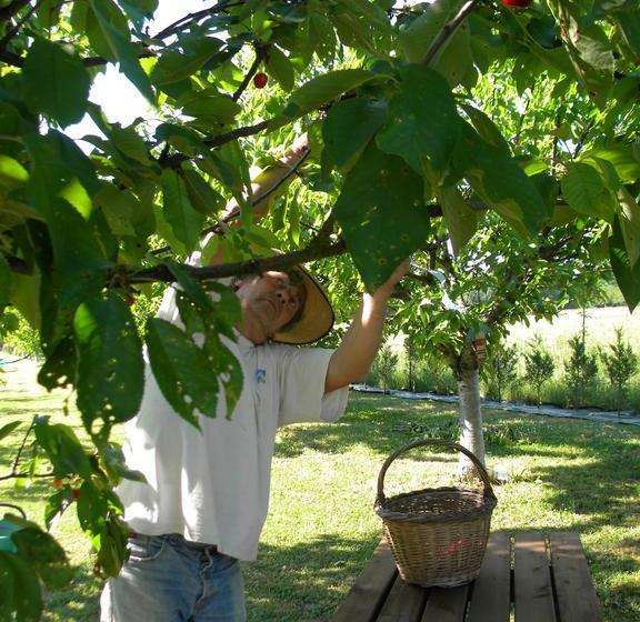 Bed and Breakfast Chambres D Hotes Le Mas Castel