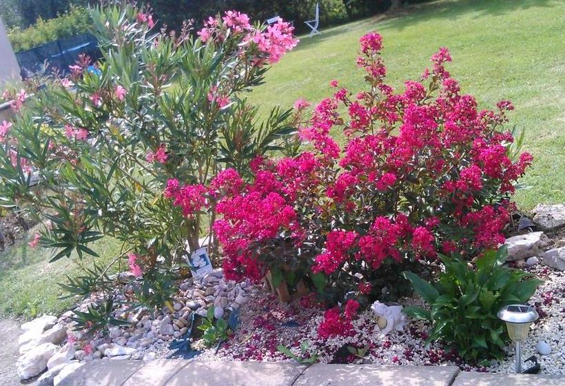 Bed and Breakfast Chambres D Hotes Le Mas Castel