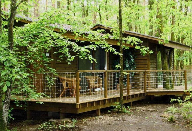 Bed and Breakfast Chambres D'hôtes Et Table D'hôtes L'intemporelle