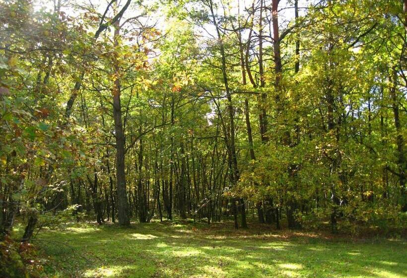 Bed and Breakfast Chambres D'hôtes Et Table D'hôtes L'intemporelle