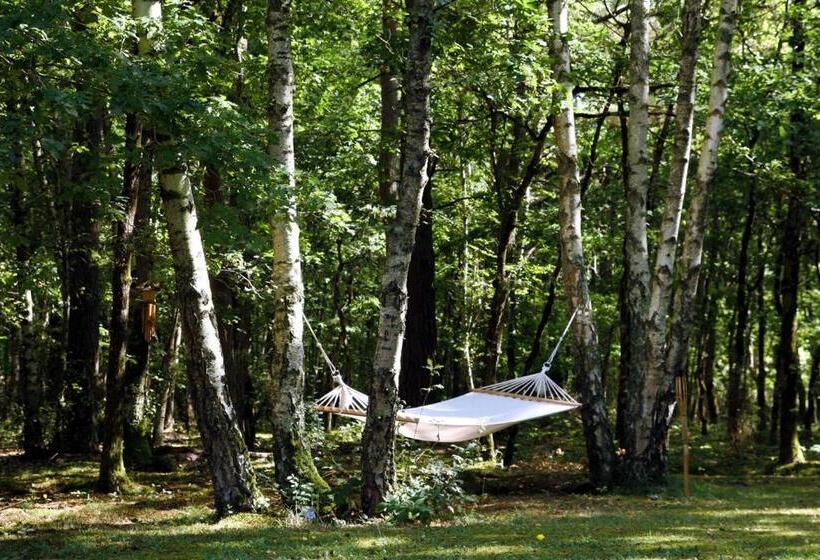 Bed and Breakfast Chambres D'hôtes Et Table D'hôtes L'intemporelle