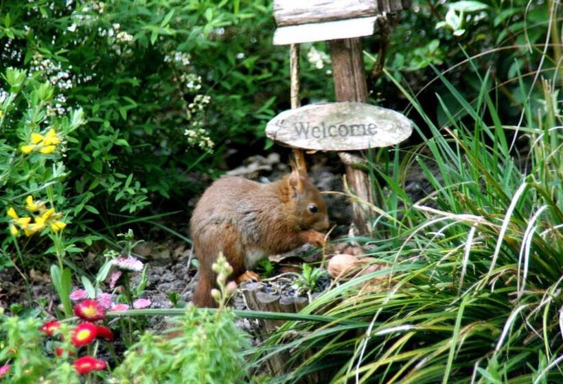 Bed and Breakfast Chambres D'hôtes Et Table D'hôtes L'intemporelle