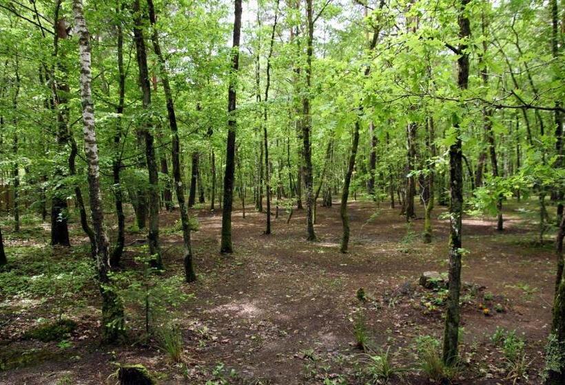 Bed and Breakfast Chambres D'hôtes Et Table D'hôtes L'intemporelle