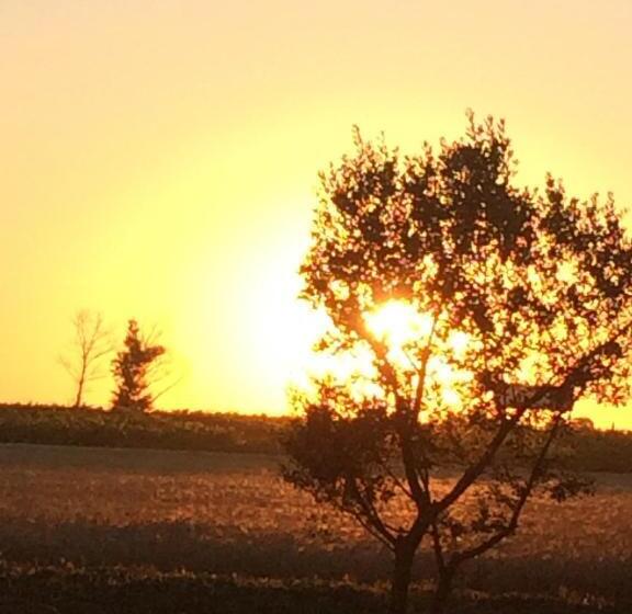 Bed and Breakfast Chateau Pech Céleyran