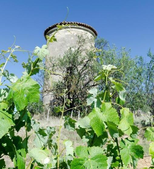 Bed and Breakfast Chateau Pech Céleyran