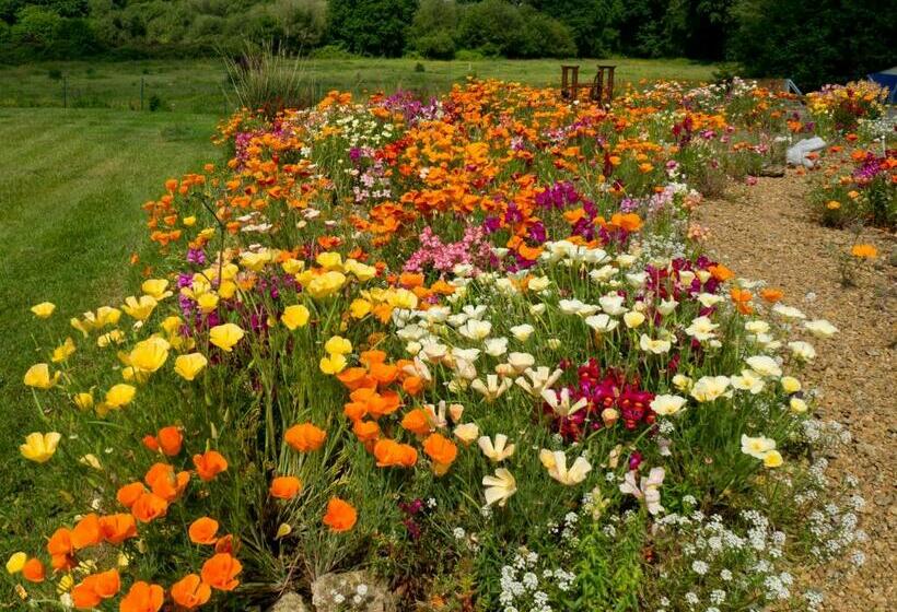 住宿加早餐 Châtelet Camelot