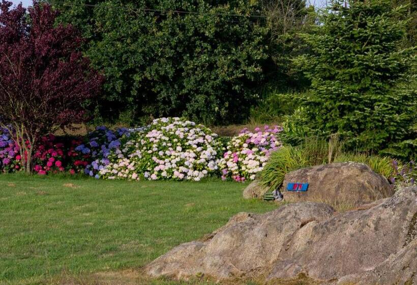 住宿加早餐 Châtelet Camelot
