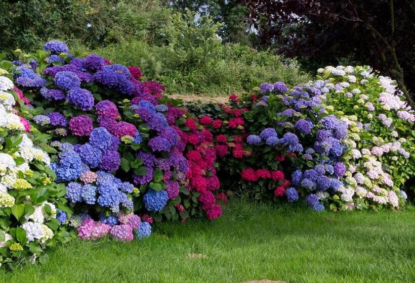 住宿加早餐 Châtelet Camelot