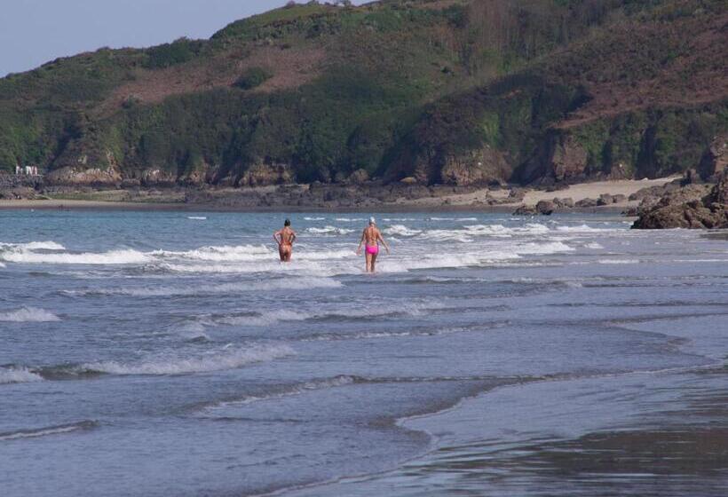 住宿加早餐 Châtelet Camelot