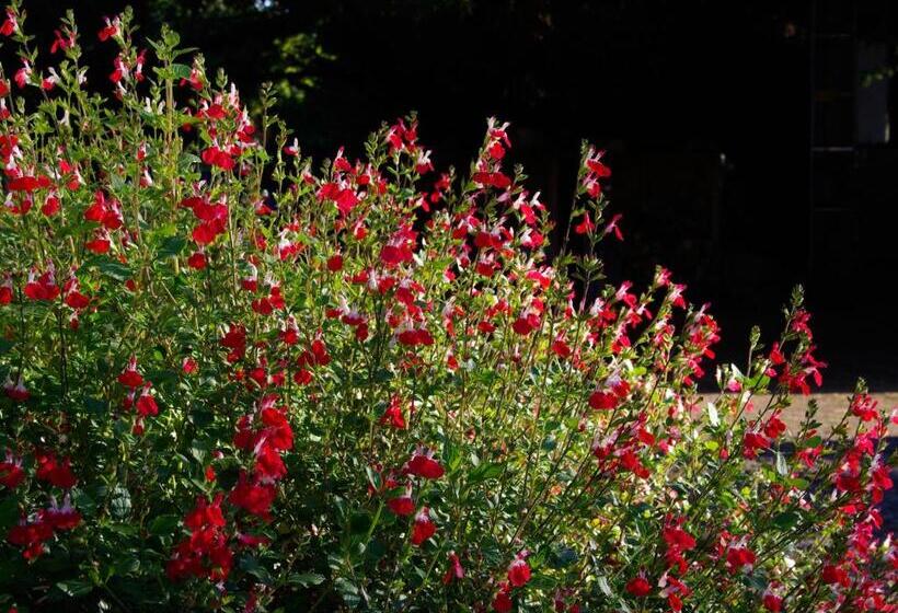 住宿加早餐 Châtelet Camelot