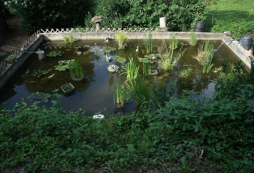 민박 Domaine De La Provenç âne Le Pigeonnier