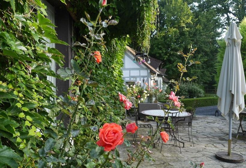 Bed and Breakfast Domaine Du Vertbois