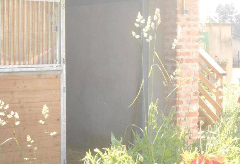 Bed and Breakfast Gîte Du Rotenberg